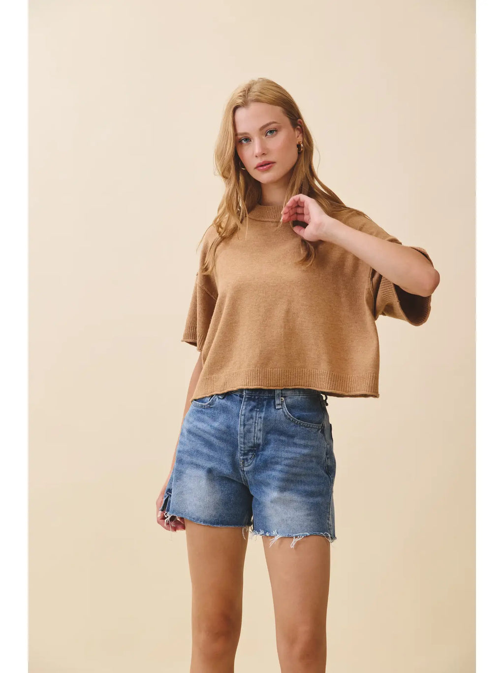 Camel Cropped Short Sleeve Sweater